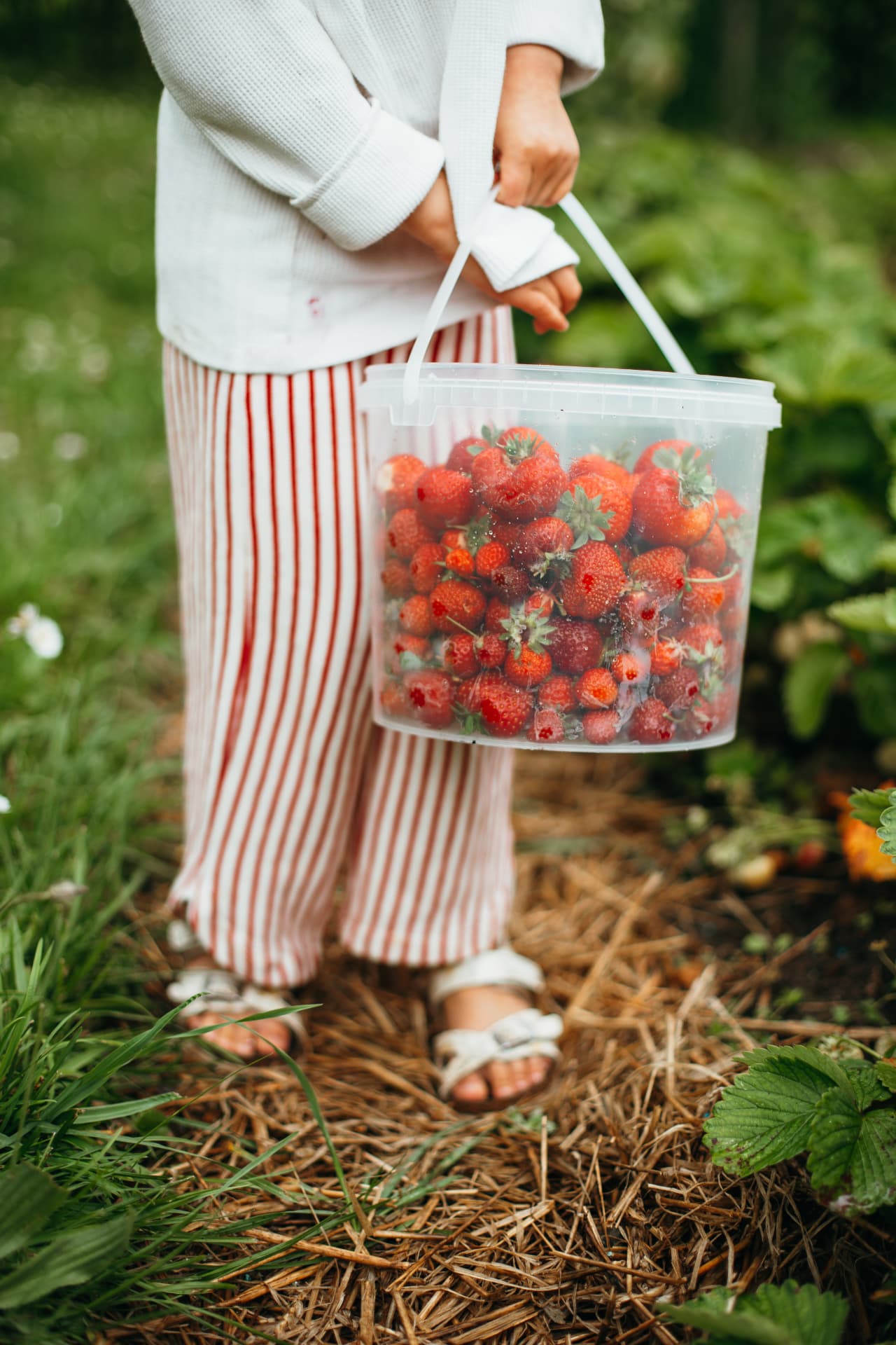 Pēc presets